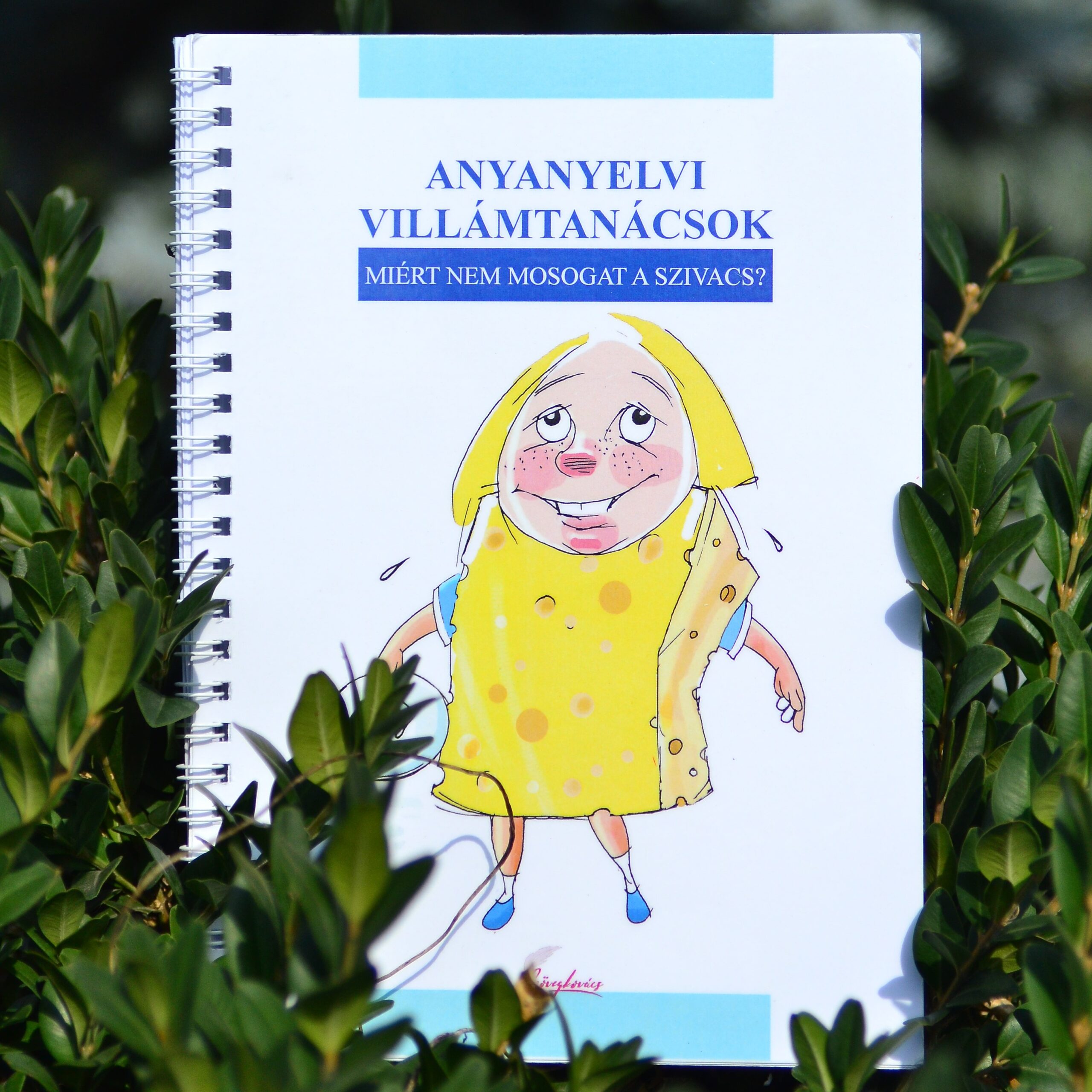 Helyesírási kalandok könyvcsomag - Image 3